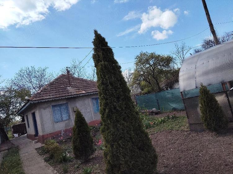 Casă cu Teren 700 Mp în Amara