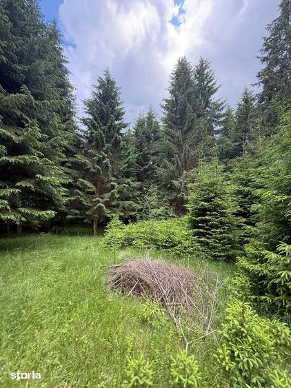 Teren de 2500 mp, în Comandău