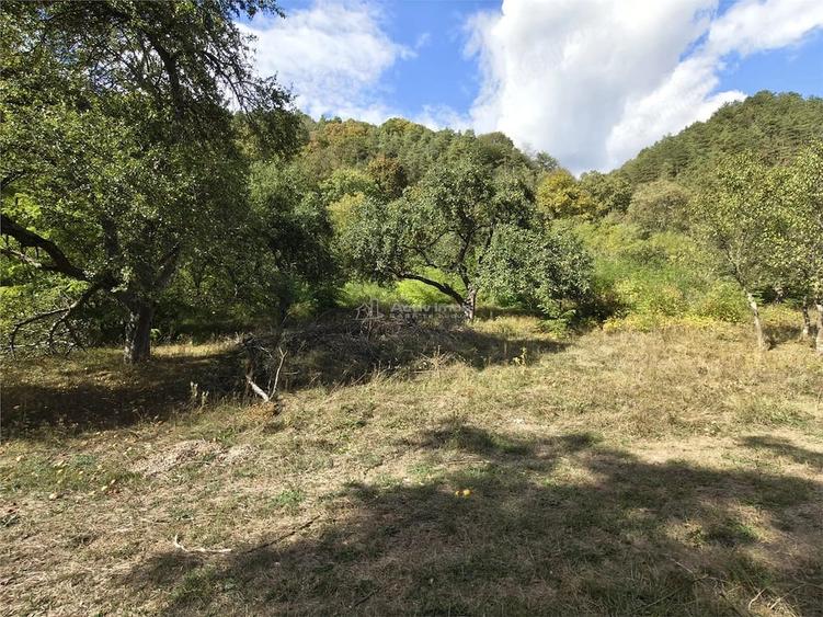 Teren de 2500 mp, în Colonia Tălmaciu