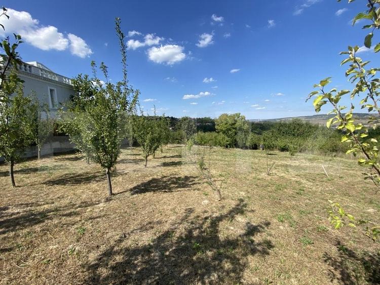 Teren Construcții intravilan de 1500 mp, în Aghireș