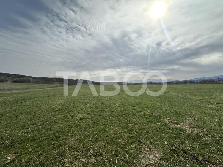 Teren Construcții intravilan de 23486 mp, în Cristian