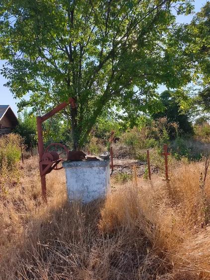 Casă cu Teren 1629 Mp în Săceni