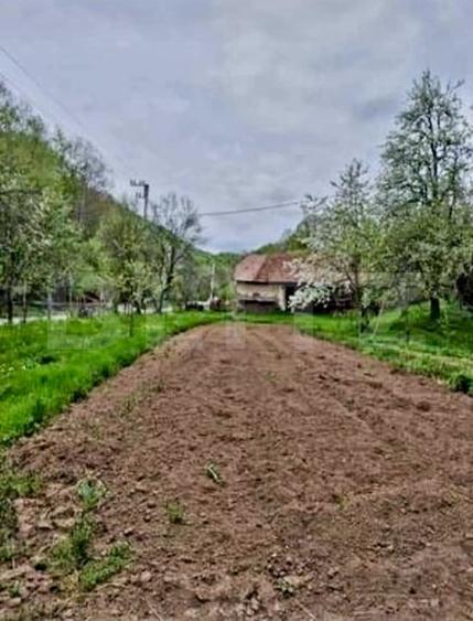 Casă individuală cu 3 camere cu Canalizare în Almașu Mare