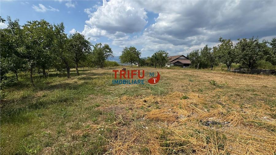 Teren Construcții intravilan de 10651 mp, în Ampoi 1