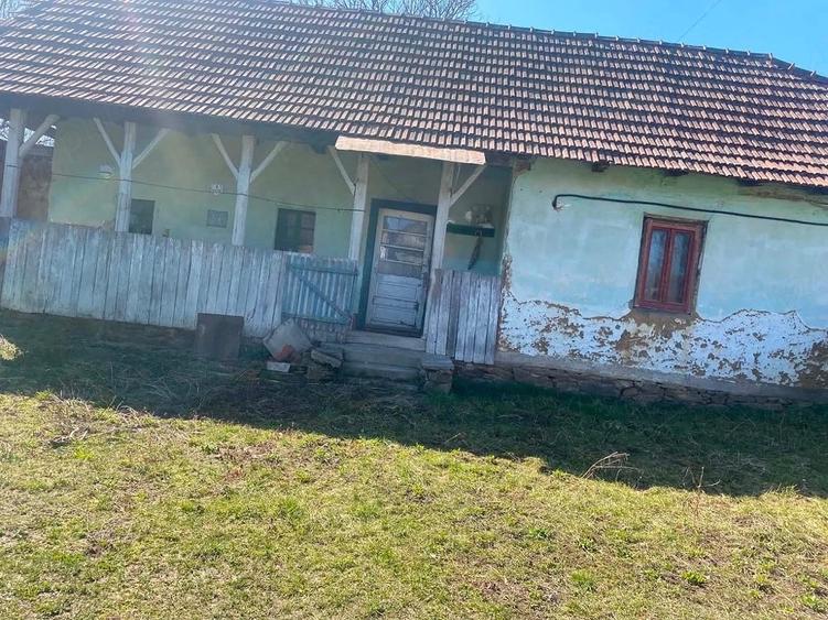 Vand casa batraneasca cu teren intravilan de 11000mp - 7
