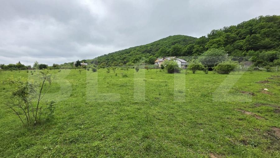 Teren Construcții intravilan de 1450 mp, în Sud