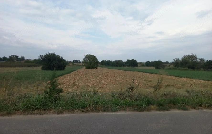 Teren de 2600 mp, în Jilava