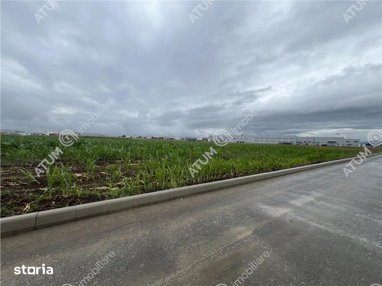 Teren intravilat de 9000 mp cu PUZ situat in zona Industriala Vest - 7