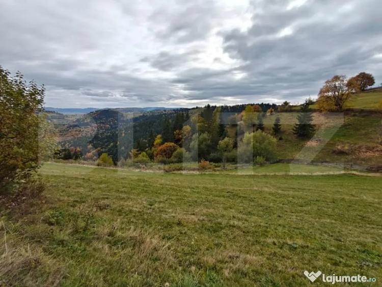 Teren de 6200 mp, în Florești