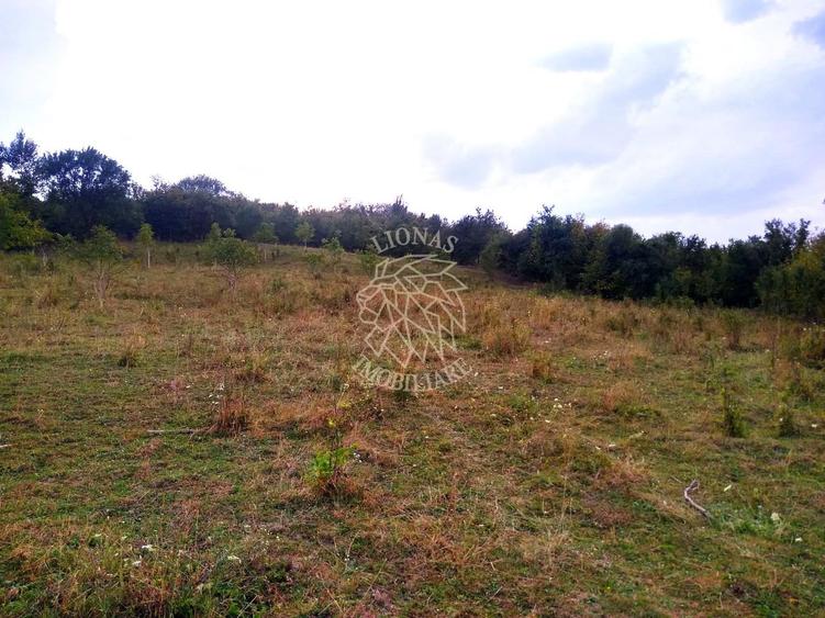 Teren agricol extravilan de 6000 mp, în Satu Nou