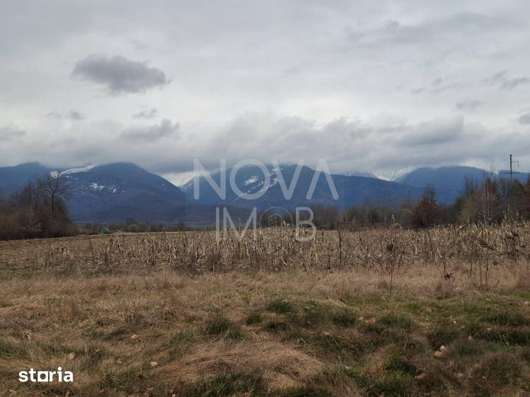 Teren de 2100 mp, în Central