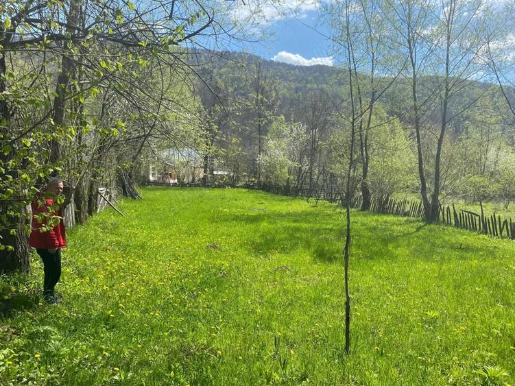 Teren de 1220 mp, în Teșila