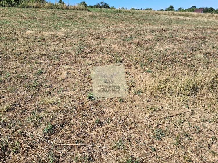 Teren de 537 mp, în Daia
