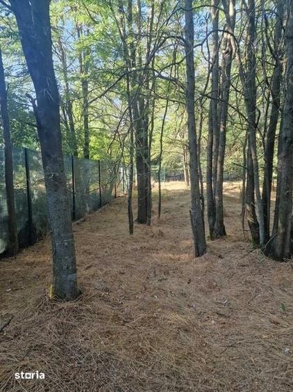 Teren de 825 mp, în Frătești
