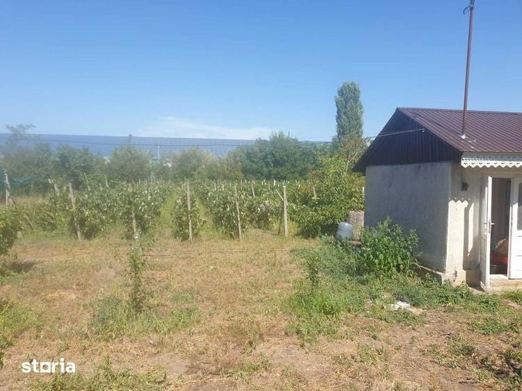 Teren de 3000 mp, în Fundeni