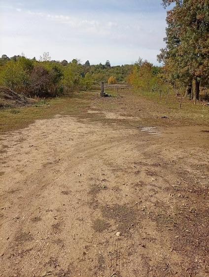 Teren de 4150 mp, în Icoana