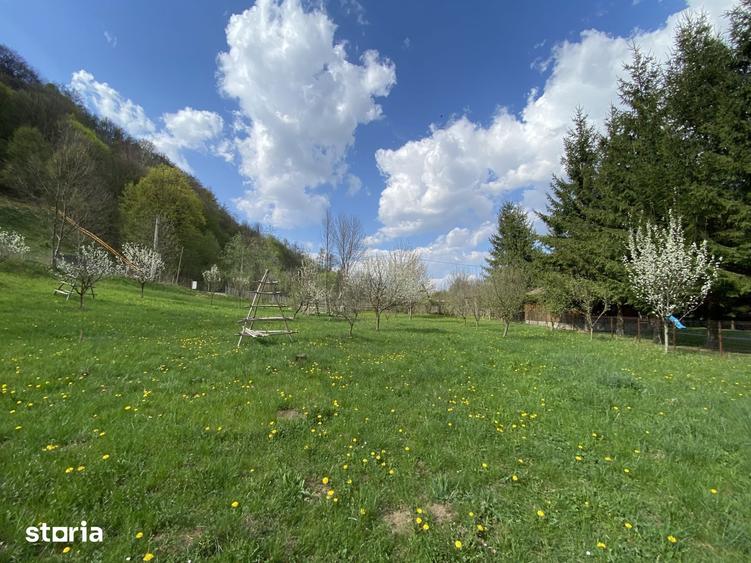 Teren de 1780 mp, în Valea Doftanei