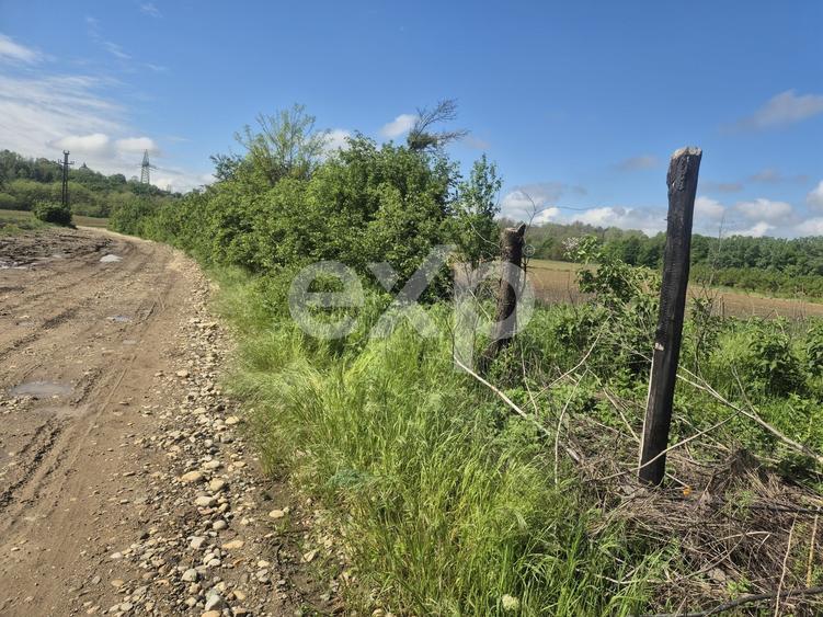 Teren Construcții intravilan de 1140 mp, în Albota