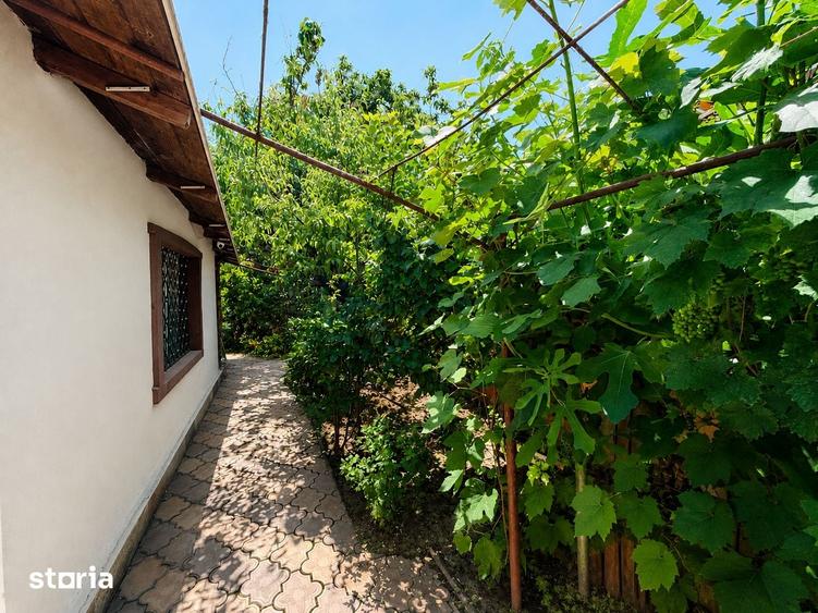 Casa cu 4 camere Piata Progresu , curte proprie - 1