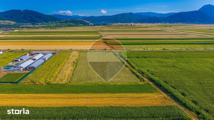 Teren de 7500 mp, în Tărlungeni