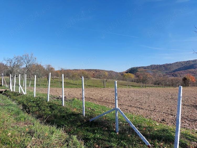 Surduc, de vanzare langa lacul Surduc curte si gradina cu fantana, documente de proprietate la zi - 4