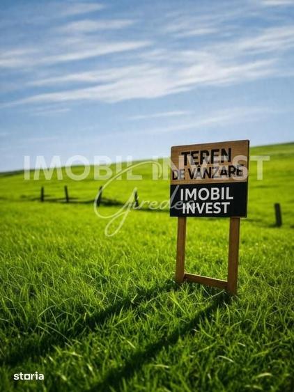 Teren de 1458 mp, în Berghin