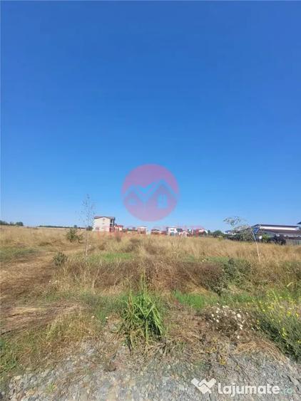 Teren Costinesti 1000 mp, Aproape de Plaja si de Nibiru, Ide - 1