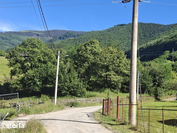 Teren de 1717 mp, în Râu Sadului