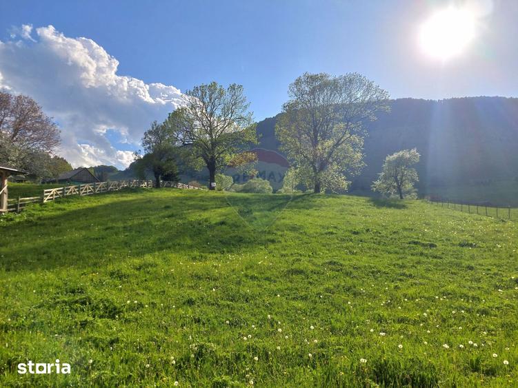 Teren de 4245 mp, în Mănești