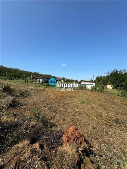 Teren intravilan de 500 mp, în Dorobanți