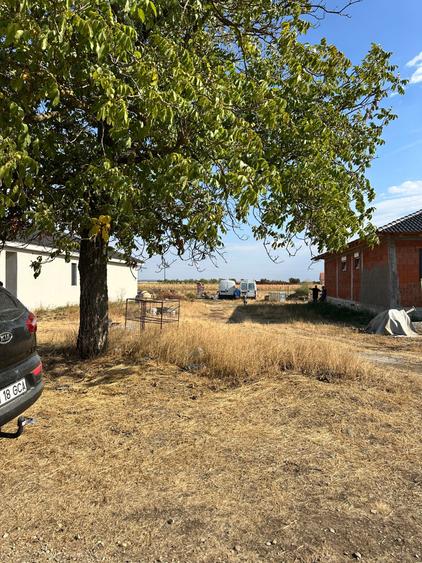Teren Livada de Bihor 706 mp - 4