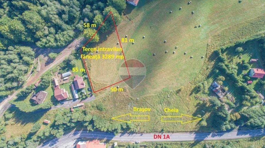 Teren de 3289 mp, în Babarunca