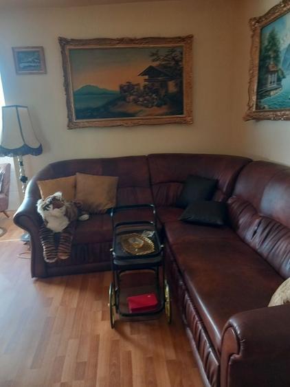 Apartament cu 2 camere decomandat în Nufărul