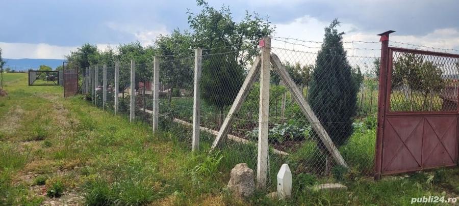 Teren de 600 mp, în Central