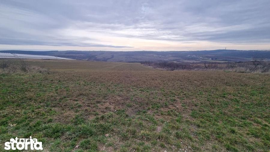 Teren de 2026 mp, în Paleu