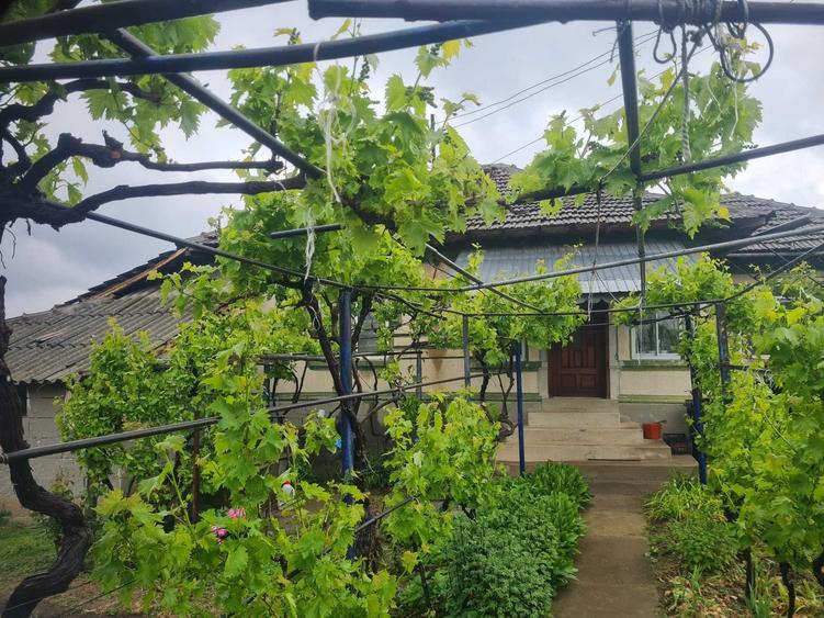 Casă cu 4 camere în Oltina