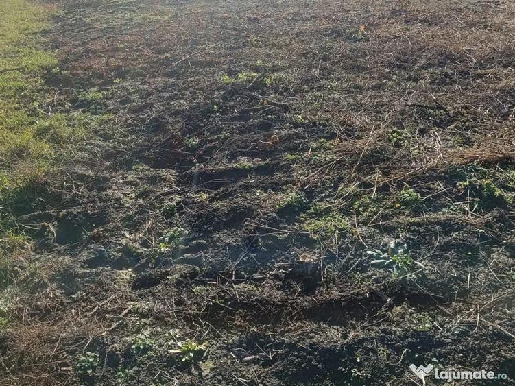 Teren de 800 mp, în Armeni