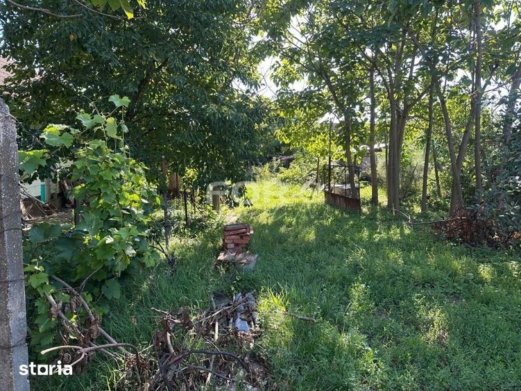 Teren de 3000 mp, în Tămășeu