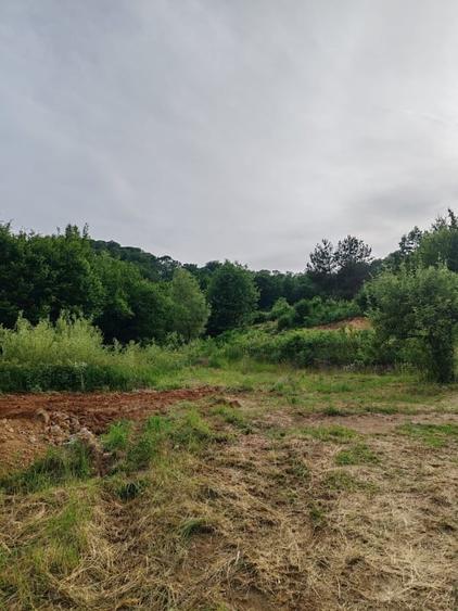Teren Construcții intravilan de 900 mp, în Băița