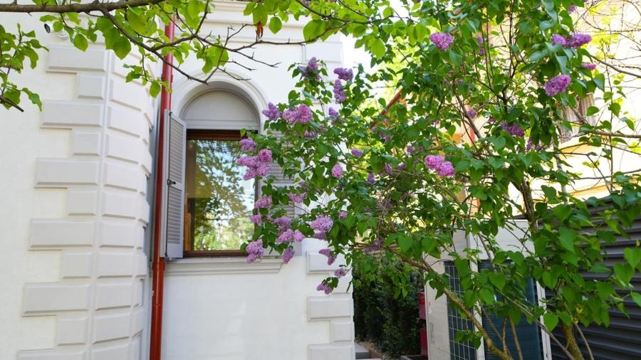 Casă individuală cu 10 camere cu Canalizare în Cotroceni