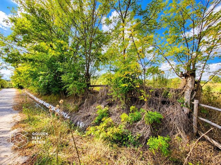 Teren intravilan de 1260 mp, în Ususău