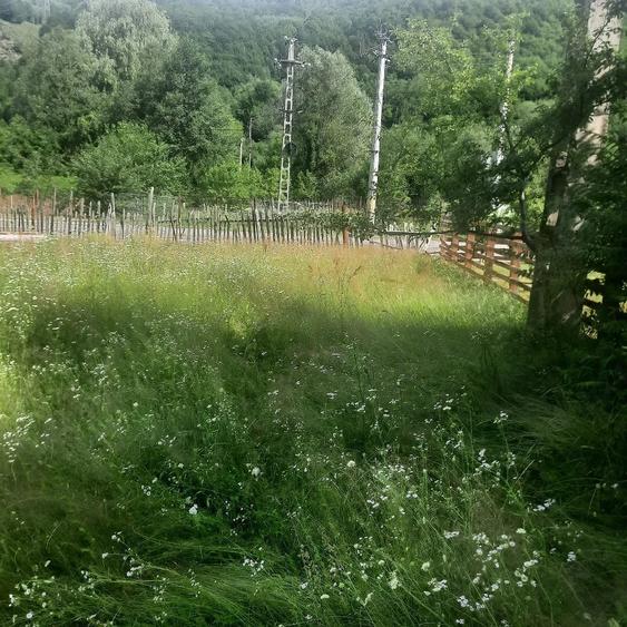 Teren de 1081 mp, în Malaia