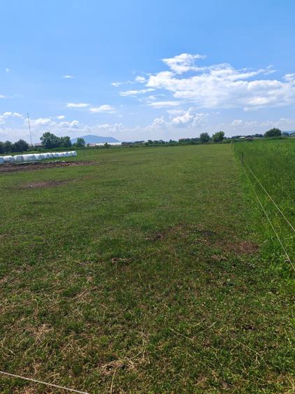 Teren Construcții intravilan de 5000 mp, în Bod