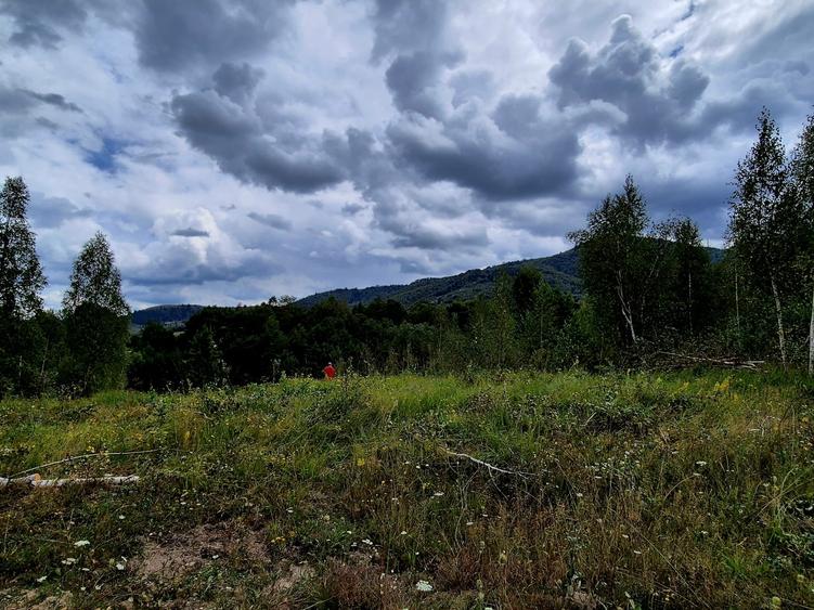 Teren agricol extravilan de 3182 mp, în Șinca Nouă