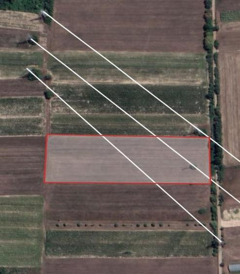Teren agricol intravilan de 4500 mp, în Sud