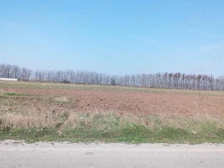Teren Construcții intravilan de 9100 mp, în Coșoveni