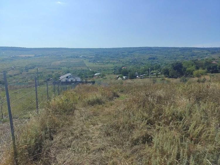 12990 EURO Tomesti-Goruni Teren de Vanzare - 4