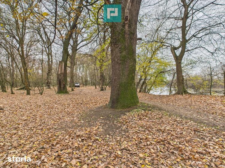 Teren de 5000 mp, în Periam