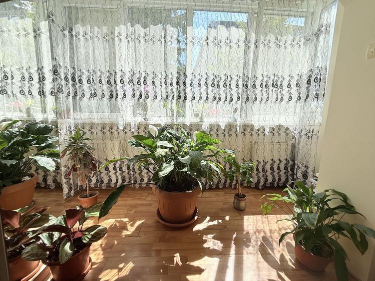Apartament cu 2 camere semidecomandat, mobilat în Central