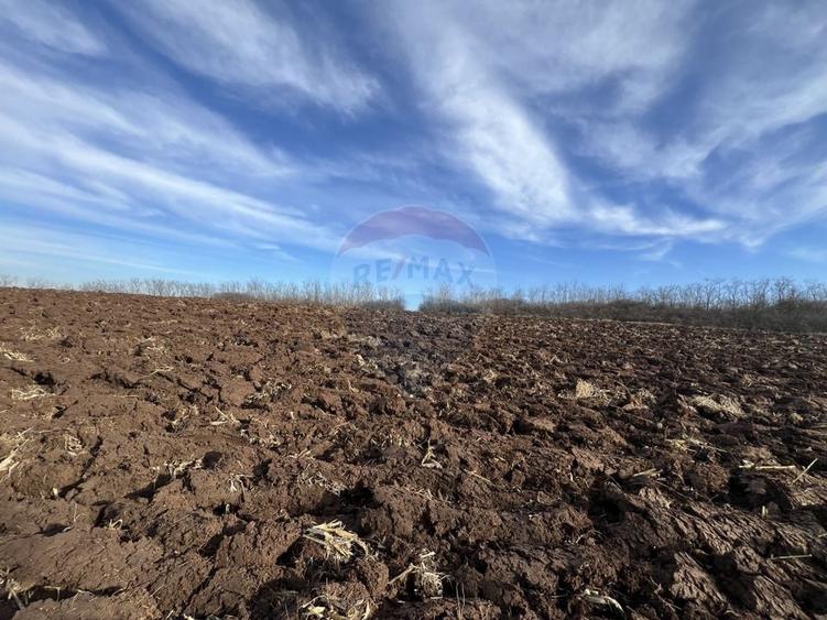 Teren agricol intravilan de 10000 mp, în Bădeni